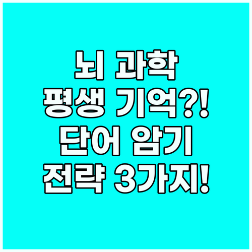 뇌 과학 원리 적용 영어 단어 암기 ..