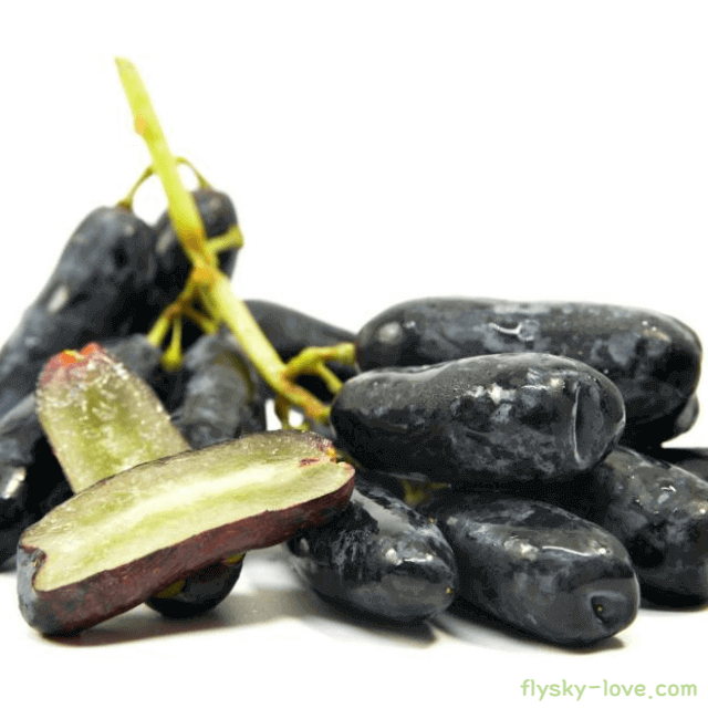 블랙사파이어(가지포도) 고르는 법