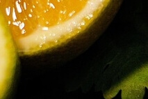 여성 갱년기 영양제