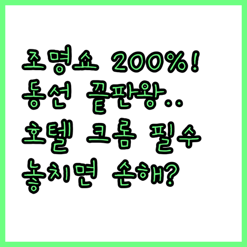 몬트리올 자크 카르티에 광장 조명 쇼..