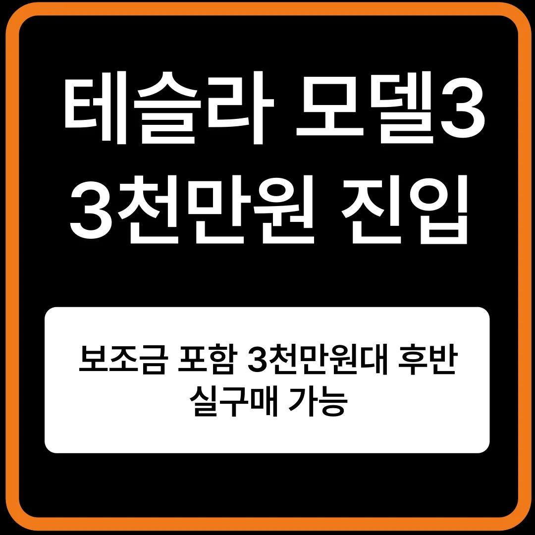 테슬라 모델3 드디어 3천만원대! 국산차 가격에 테슬라 산다
