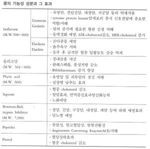 단백질 분해 효소