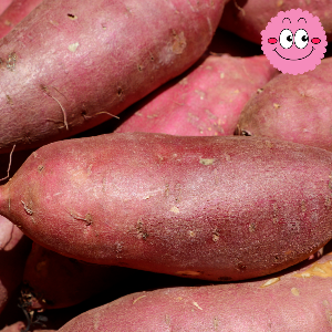 변비에 좋은 음식