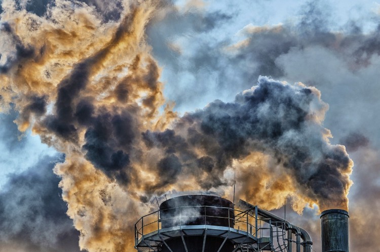 (실내공기질과 실외공기질, 탈모 영향은?) 에 관련 사진