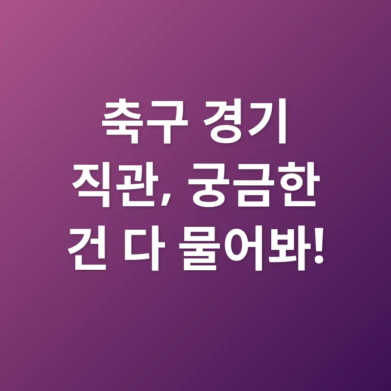 축구 경기 직관_4