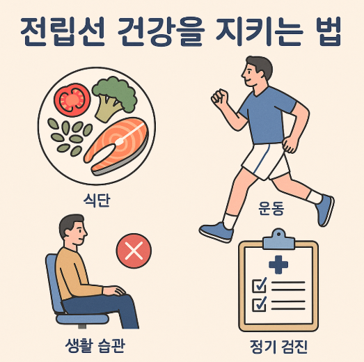 전립선 발기부전 관리법 운동법 식이요법