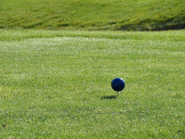 검은 공과 잔디