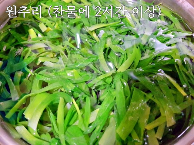 생으로 먹으면 안되는 봄나물,원추리