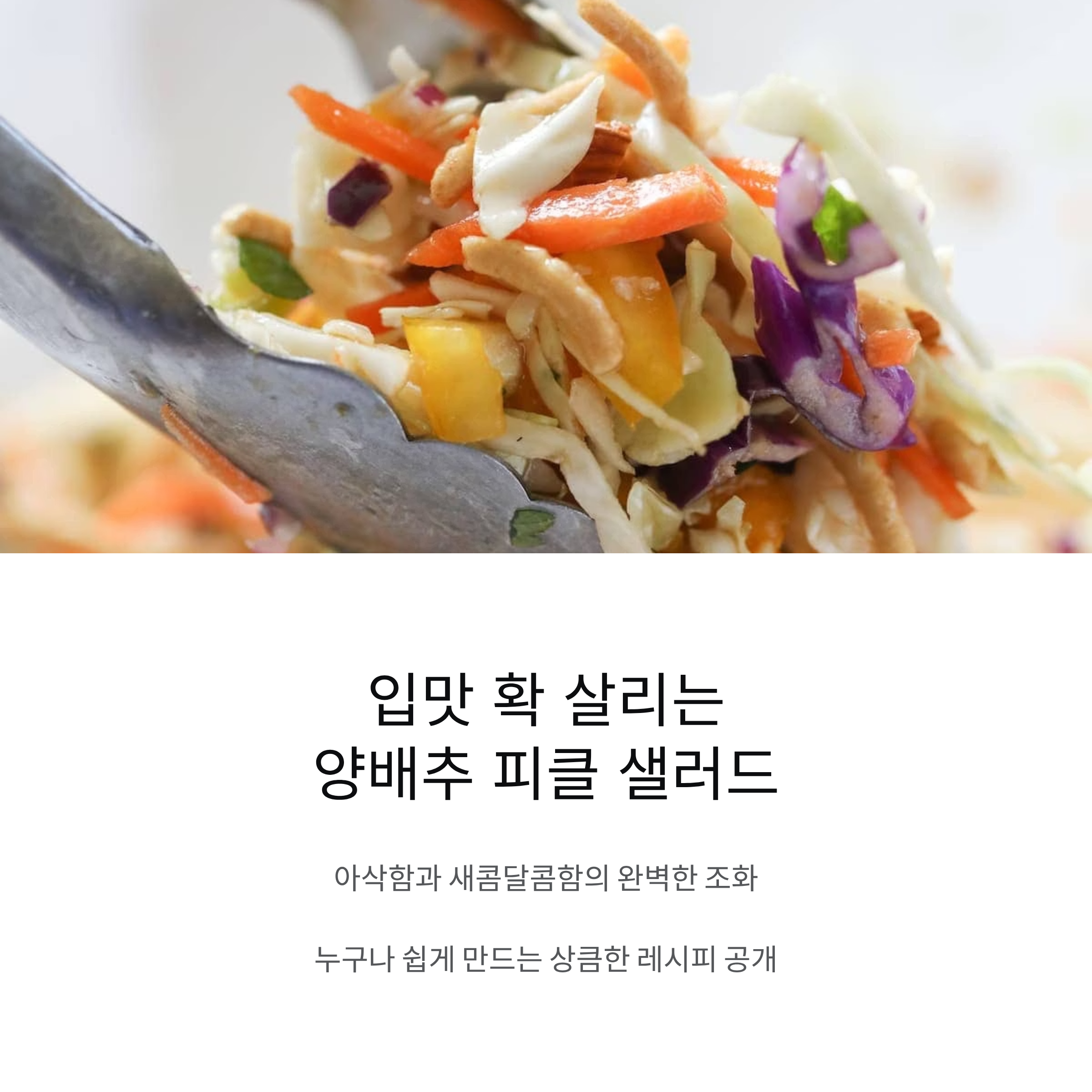 입맛 확 살리는 상큼한 양배추 피클 샐러드 레시피 공개