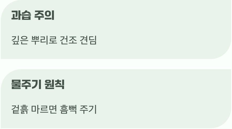 과잉보호는 금물&amp;#44; 물주기 노하우