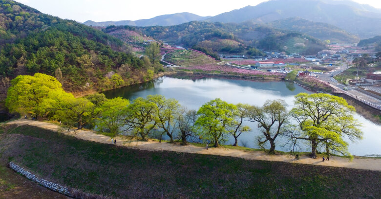 경산 반곡지 사진