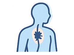 콘드로이친1200mg