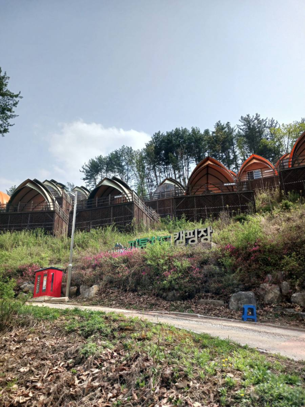 소금산 피톤치드 캠핑장