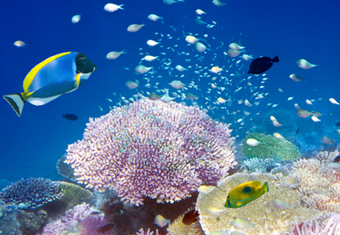 12월 해외여행지 추천