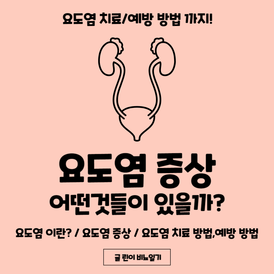 요도염 증상