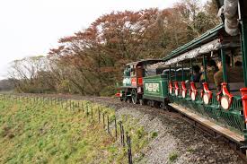  국내 가을 여행 - 에코랜드