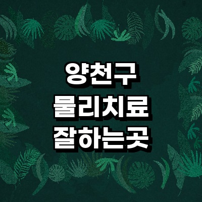 서울 양천구 정형외과