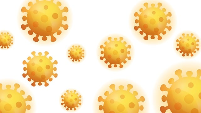 포도상구균 관련이미지