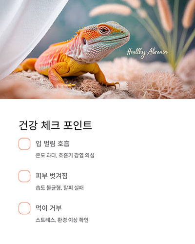 건강 체크와 이상 행동 관찰