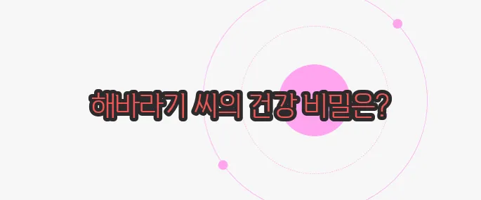 해바라기 씨 효능 궁금한 점, 풀어보죠