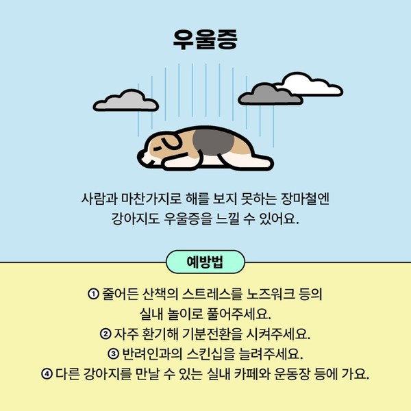 반려견 우울증