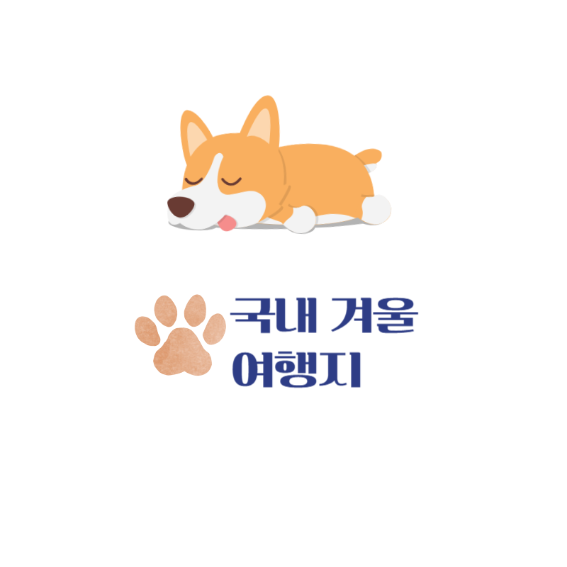 애견동반겨울여행지