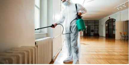 진드기 퇴치와 예방의 모든 것