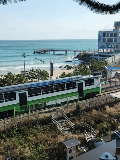 해변열차