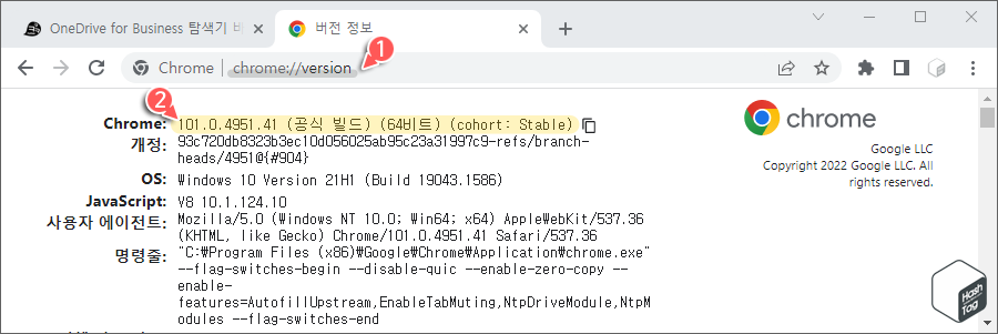 크롬 버전 확인