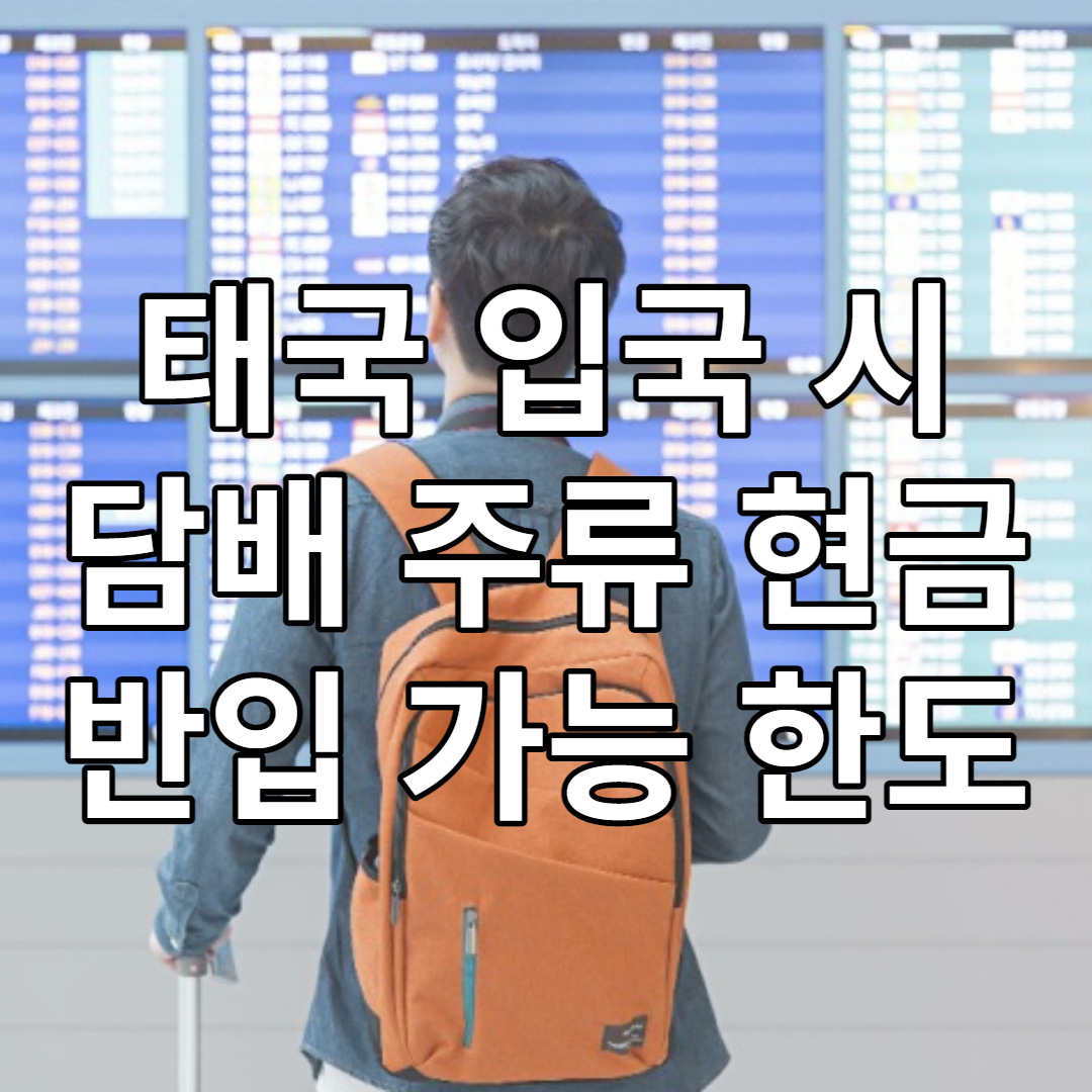 태국 입국시 반입 가능 현금 담배 주류 규정 한도