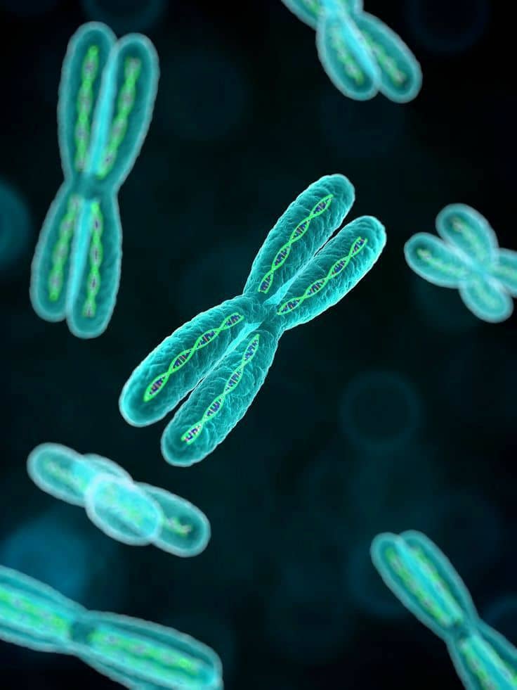 고대 유전자가 현대 질병을 설명해줄 수 있을까?: 유전자와 질병의 연결
