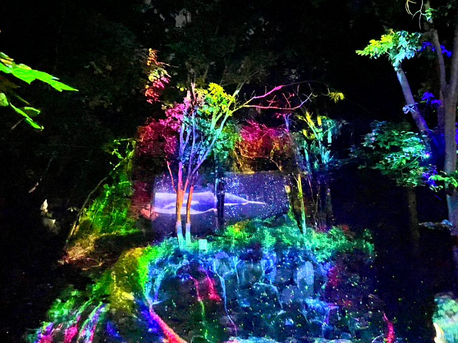 숲 속의 오케스트라4