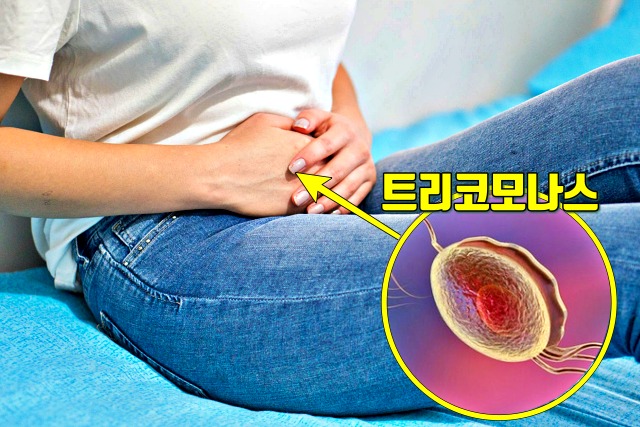 면역력이 떨어졌을때 증상 질염 원인 면역력 저하 증상,건강 팁줌 매일꿀정보