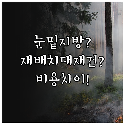 눈밑 지방 재배치 vs 재건술 차이점..