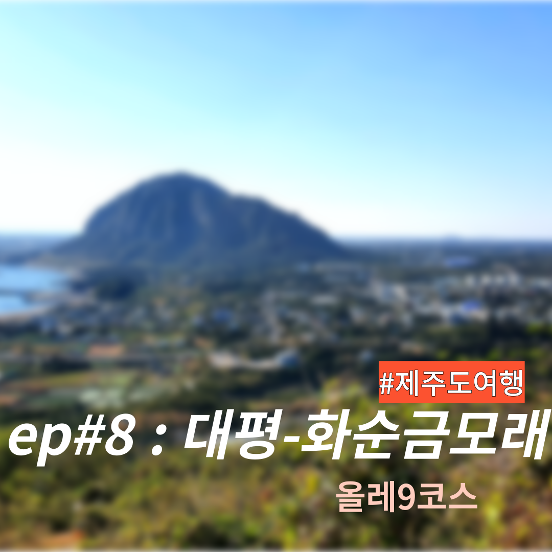 제주 올레9코스