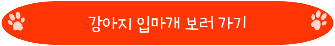 강아지 입마개 보러 가기