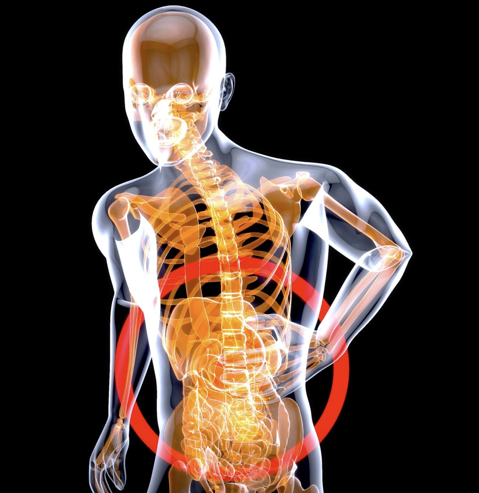 올 여름 장 건강법