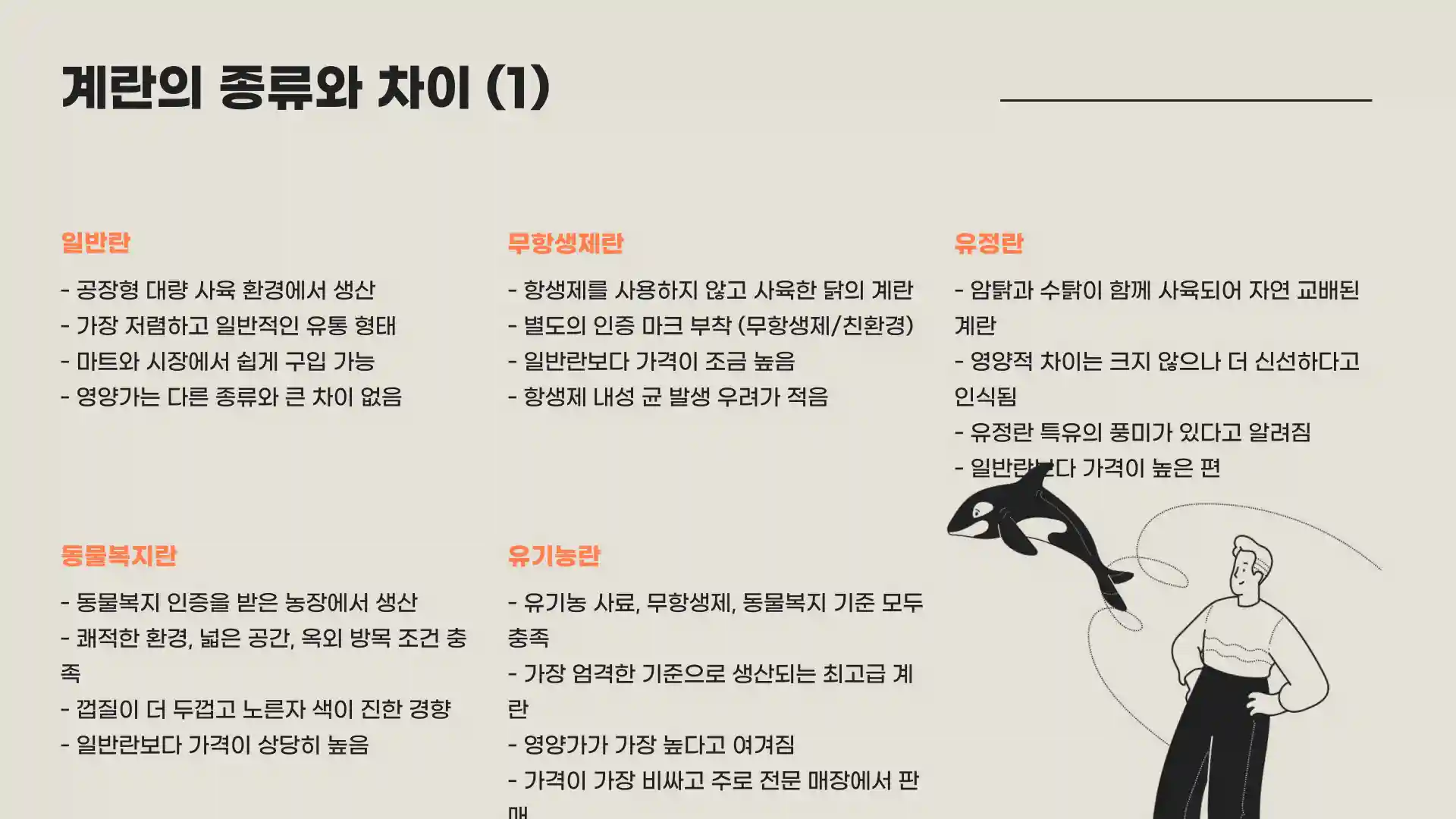 계란 크기 순서 종류 보관법