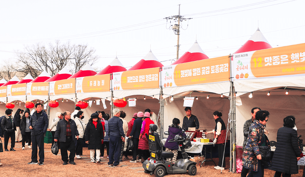 논산양촌곶감축제