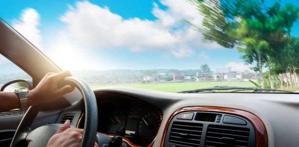 815-광복절-특별사면-운전면허-조회