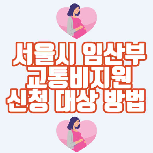 서울시-임산부-교통비지원