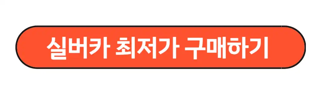 실버카 최저가격 구매
