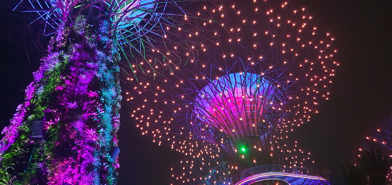 싱가포르 슈퍼 트리