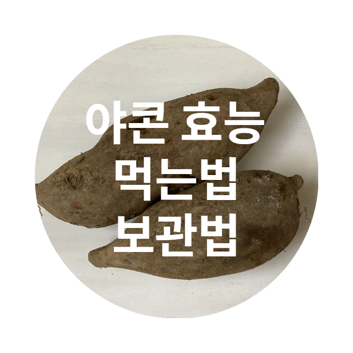  야콘 사진입니다.