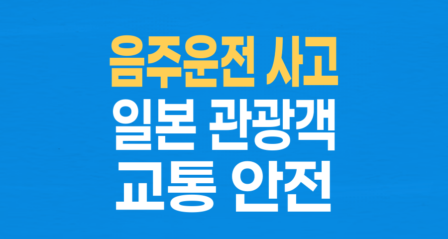 음주운전 참사: '효도 관광' 온 일본인 모녀의 비극, 한국 사회의 민낯을 드러내다