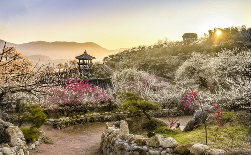 2023년 전국 벚꽃 축제 일정