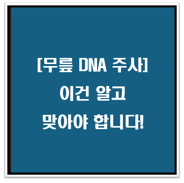[무릎 DAN주사] 이건 알고 맞아야 합니다!