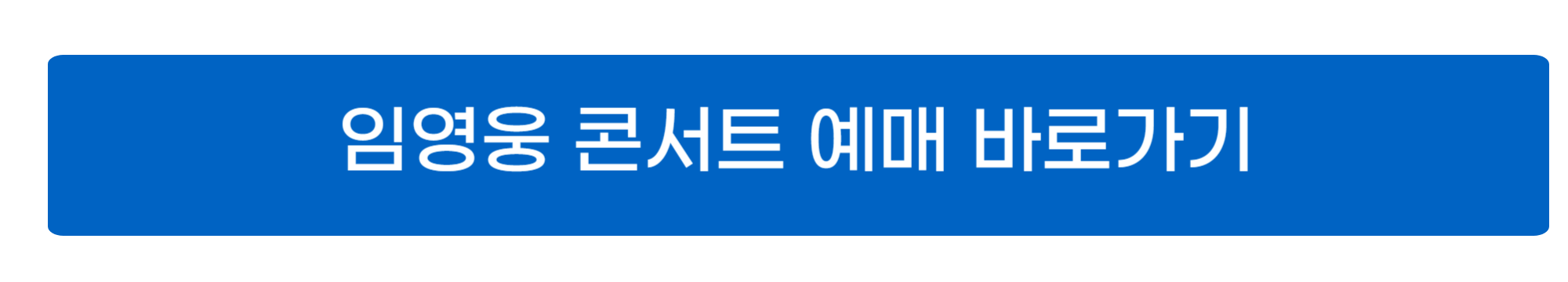 임영웅 콘서트 사진