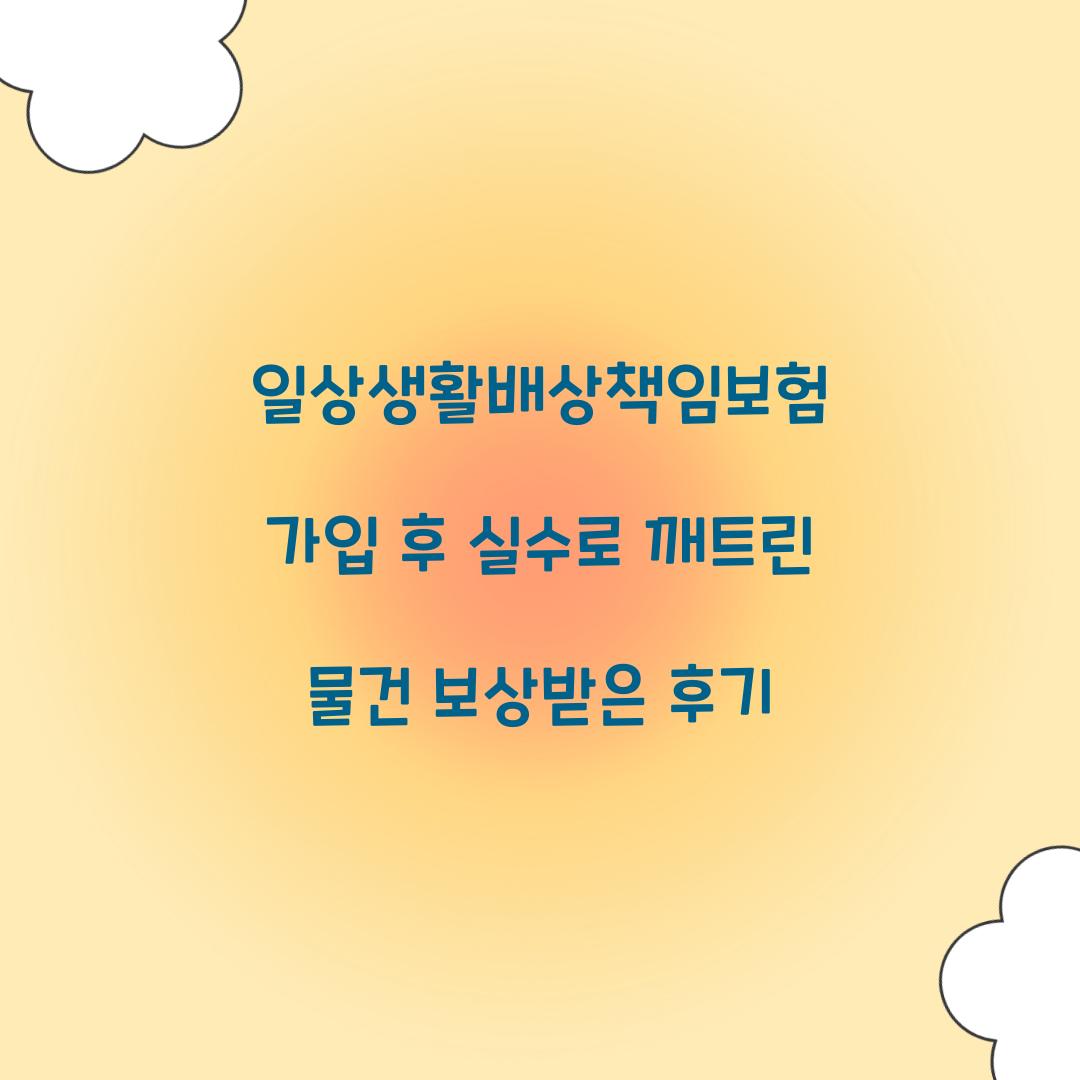 일상생활배상책임보험 가입 후 실수로 깨트린 물건 보상받은 후기