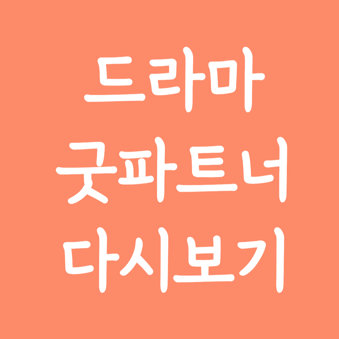 드라마 굿파트너 다시보기